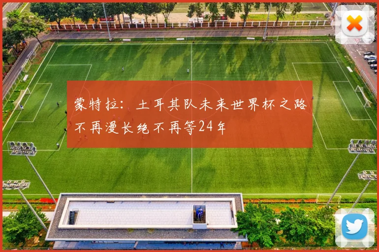 蒙特拉：土耳其队未来世界杯之路不再漫长绝不再等24年