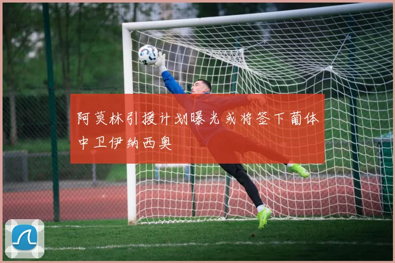 阿莫林引援计划曝光或将签下葡体中卫伊纳西奥