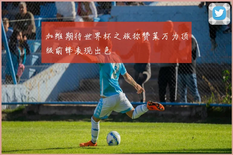 加维期待世界杯之旅称赞莱万为顶级前锋表现出色